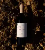 Vadio Rexarte 2017 - Image 6