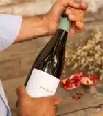 Vadio Espumante Perpetuum - Image 6